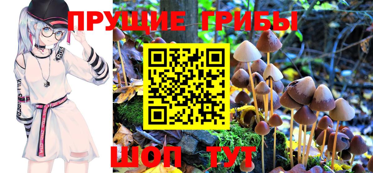 Псилоцибиновые грибы Magic Shrooms Бирск